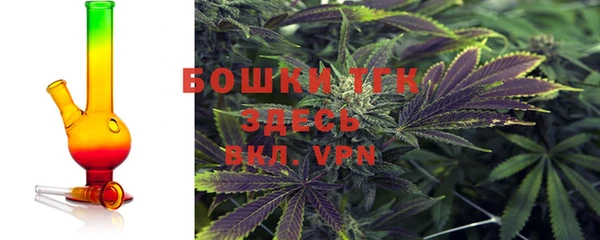 хмурый Абаза