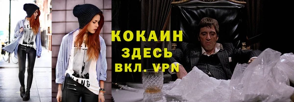 хмурый Абаза