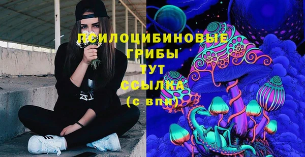 эйфоретик Абинск