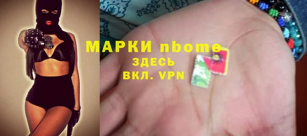 хмурый Абаза