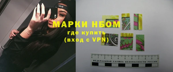 хмурый Абаза