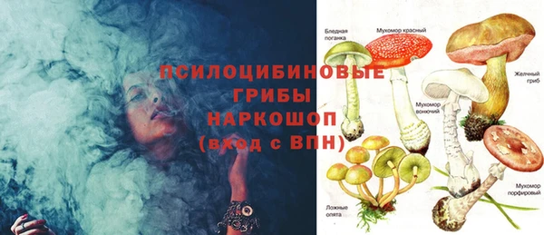 хмурый Абаза