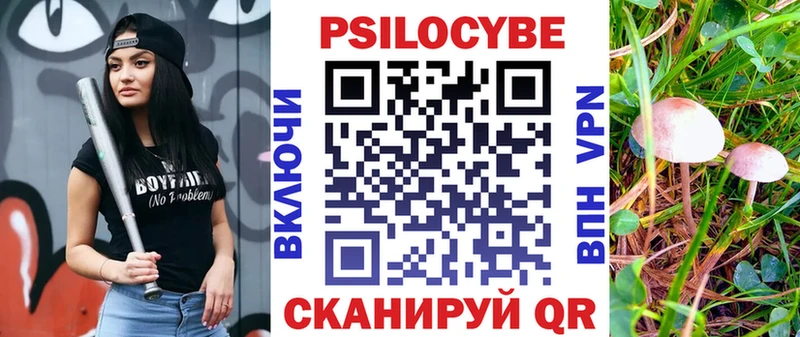 Псилоцибиновые грибы Cubensis даркнет сайт Алдан